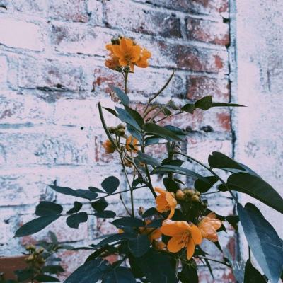 云开平台app最新版手机app下载